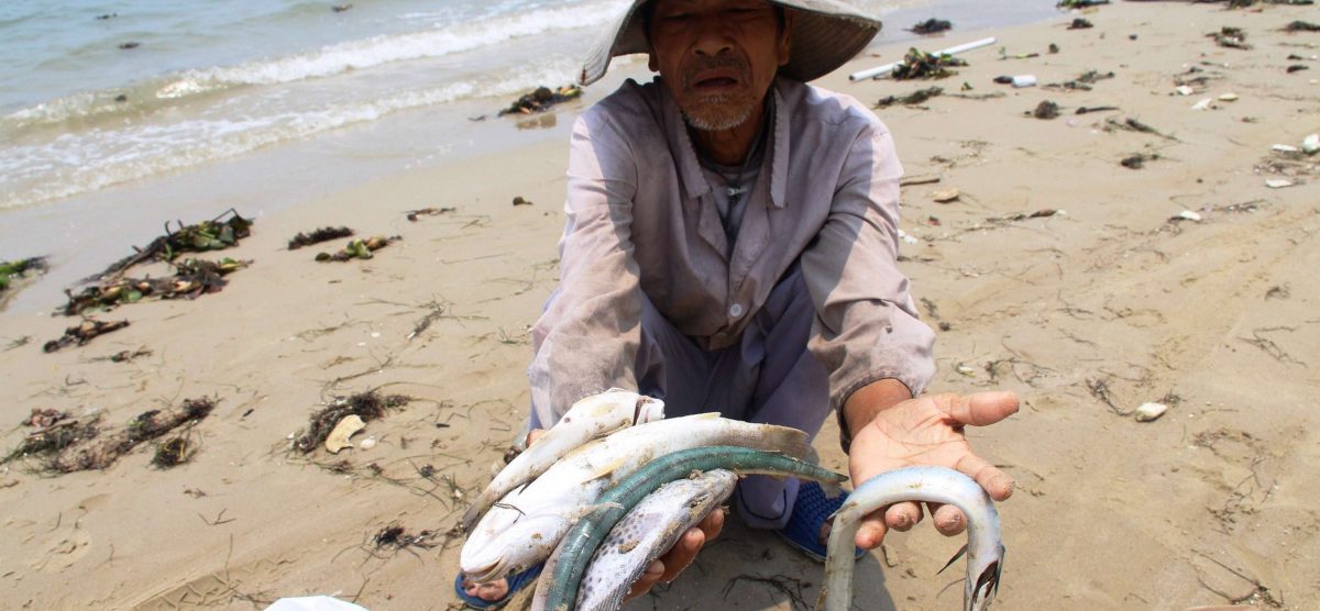 Những trận mưa lớn miền Trung cuối tháng 10 có thể tàn phá ngành nuôi trồng thủy sản ven biển Nam Trung Bộ