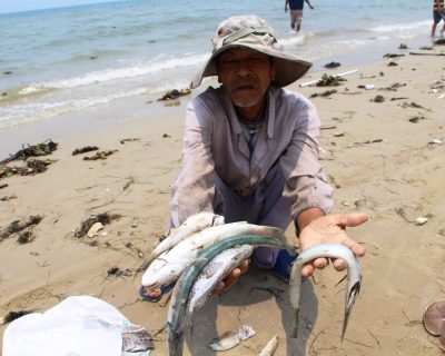 Những trận mưa lớn miền Trung cuối tháng 10 có thể tàn phá ngành nuôi trồng thủy sản ven biển Nam Trung Bộ